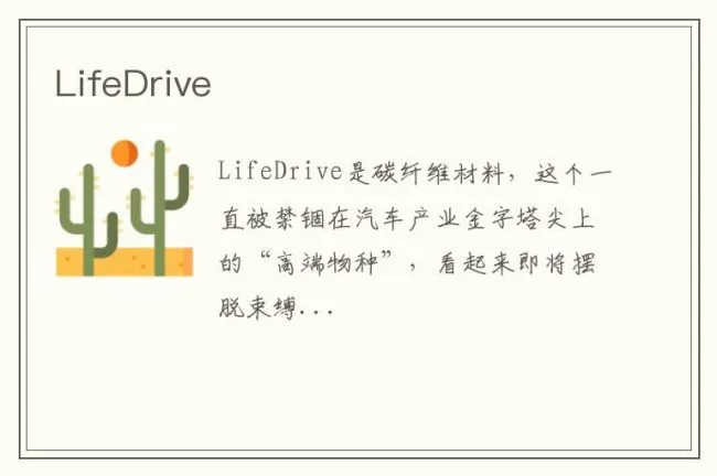 LifeDrive