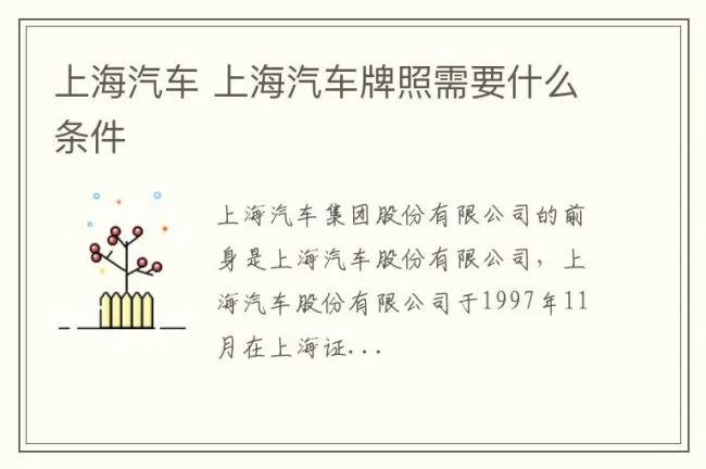 上海汽车 上海汽车牌照需要什么条件