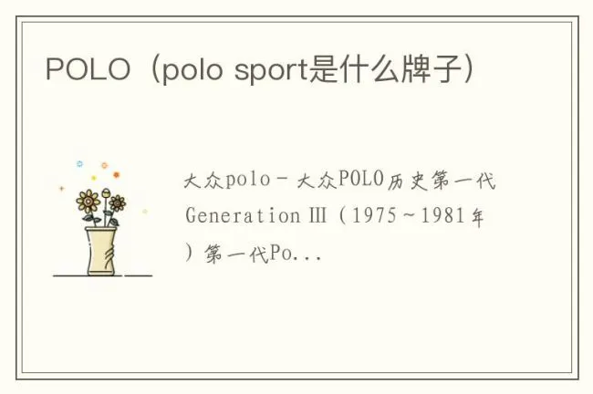POLO（polo sport是什么牌子）