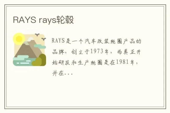 RAYS rays轮毂