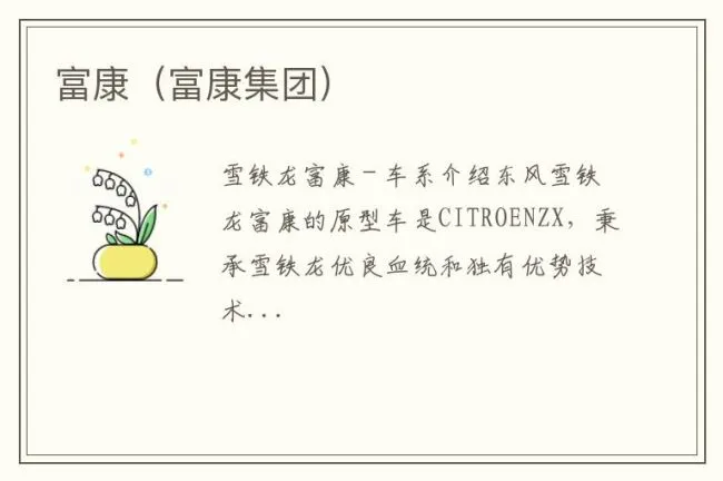 富康（富康集团）