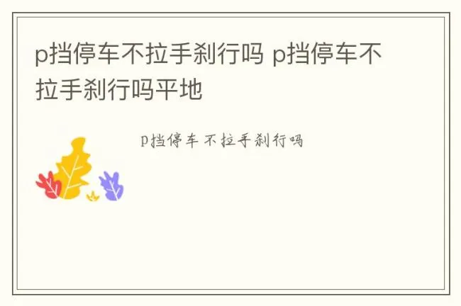 p挡停车不拉手刹行吗 p挡停车不拉手刹行吗平地