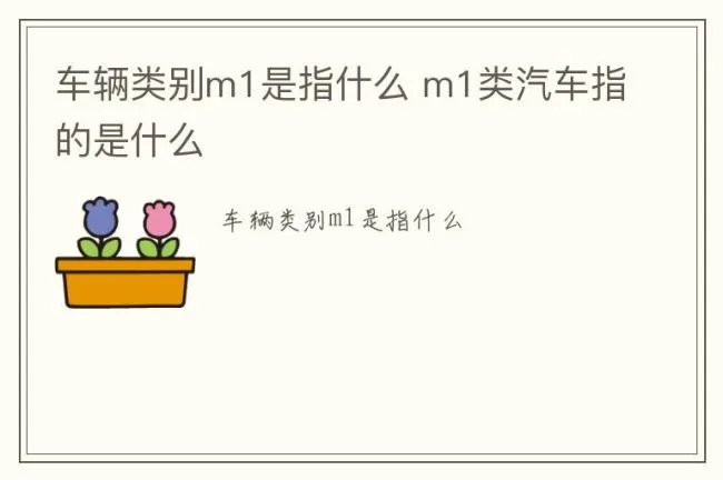 车辆类别m1是指什么 m1类汽车指的是什么