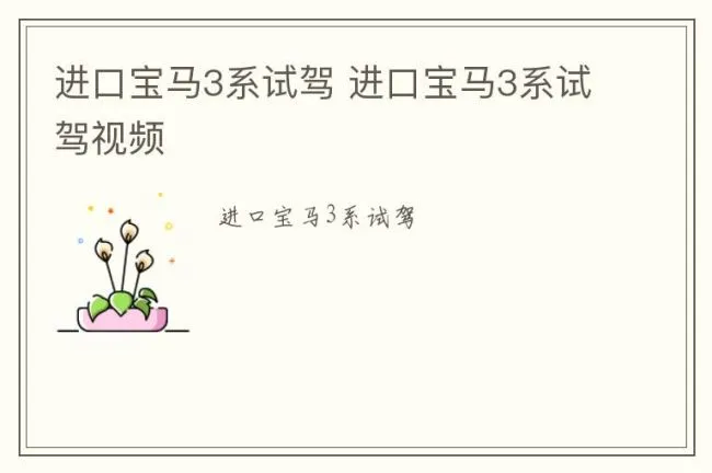 进口宝马3系试驾 进口宝马3系试驾视频