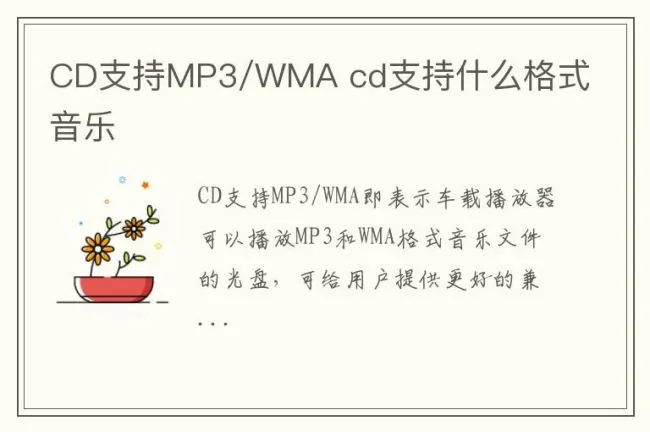CD支持MP3/WMA cd支持什么格式音乐