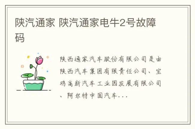 陕汽通家 陕汽通家电牛2号故障码