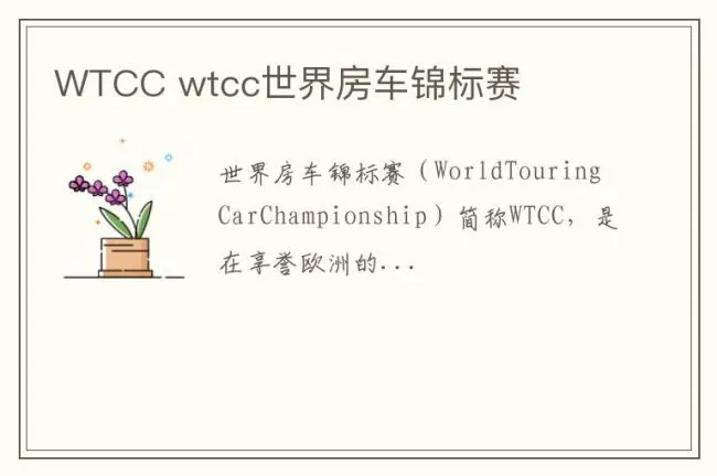 WTCC wtcc世界房车锦标赛