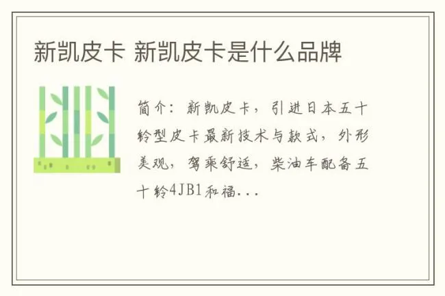新凯皮卡 新凯皮卡是什么品牌
