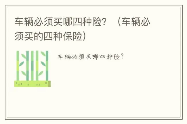 车辆必须买哪四种险？（车辆必须买的四种保险）