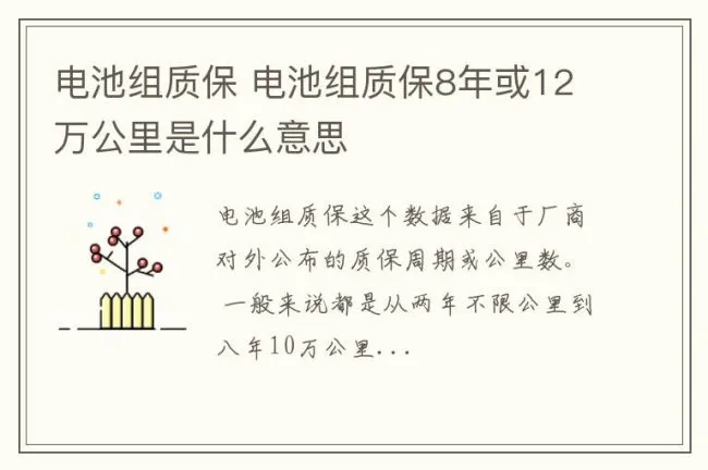 电池组质保 电池组质保8年或12万公里是什么意思