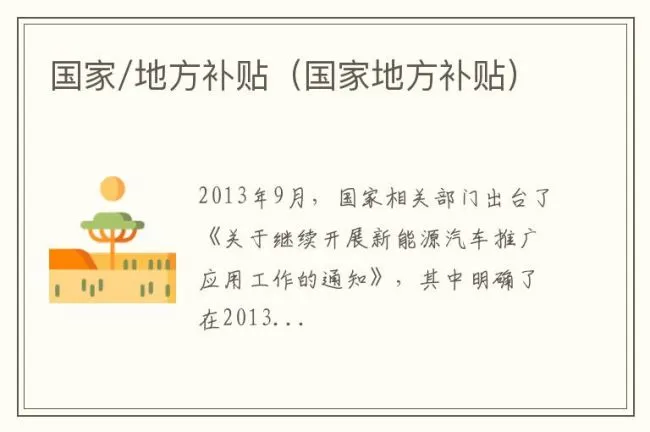 国家/地方补贴（国家地方补贴）