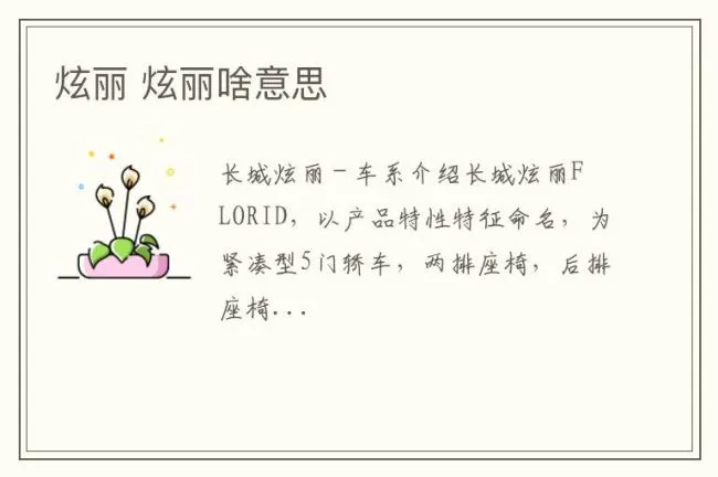 炫丽 炫丽啥意思