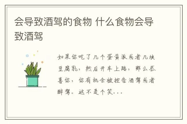 会导致酒驾的食物 什么食物会导致酒驾