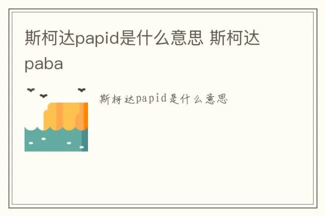 斯柯达papid是什么意思 斯柯达paba