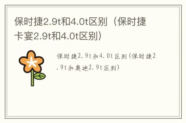 保时捷2.9t和4.0t区别（保时捷卡宴2.9t和4.0t区别）