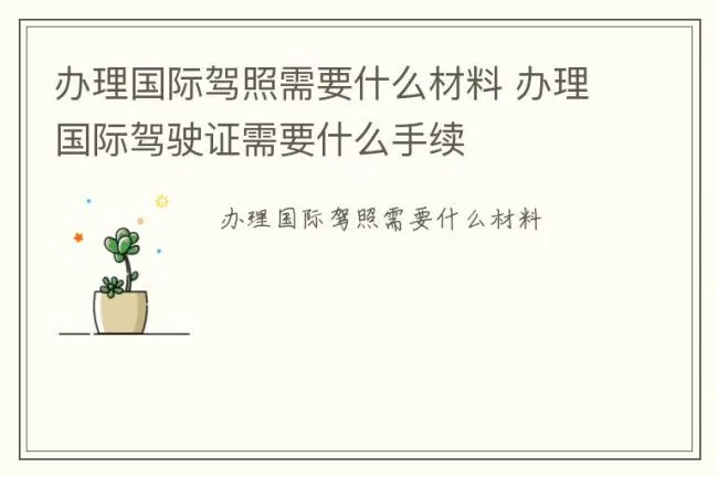 办理国际驾照需要什么材料 办理国际驾驶证需要什么手续