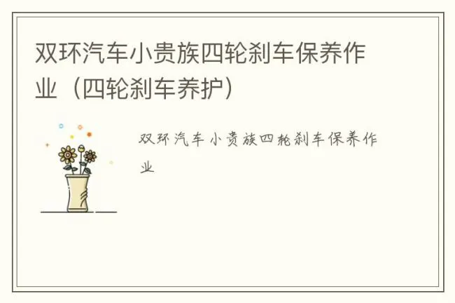 双环汽车小贵族四轮刹车保养作业（四轮刹车养护）