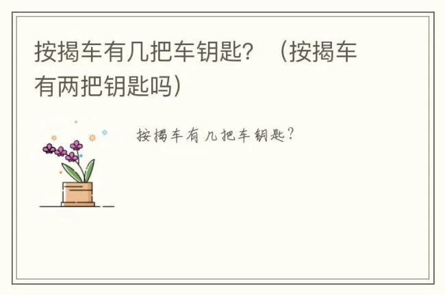 按揭车有几把车钥匙？（按揭车有两把钥匙吗）