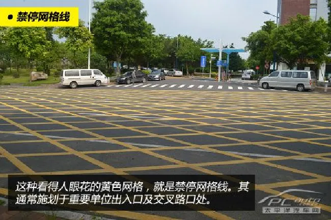 新手看过来（17）哪些交通标线不能压？