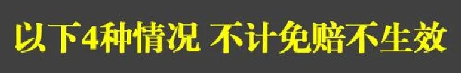 4种情况保险不赔钱 解读汽车不计免赔险