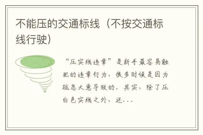 不能压的交通标线（不按交通标线行驶）