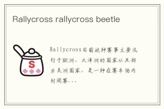 Rallycross rallycross beetle