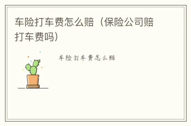 车险打车费怎么赔（保险公司赔打车费吗）