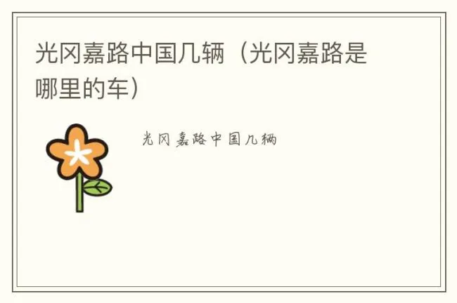 光冈嘉路中国几辆（光冈嘉路是哪里的车）