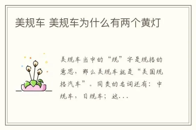 美规车 美规车为什么有两个黄灯