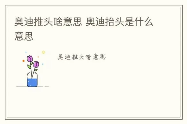 奥迪推头啥意思 奥迪抬头是什么意思