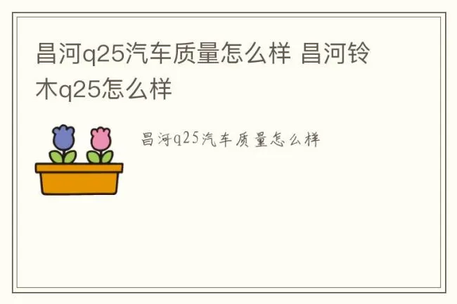 昌河q25汽车质量怎么样 昌河铃木q25怎么样