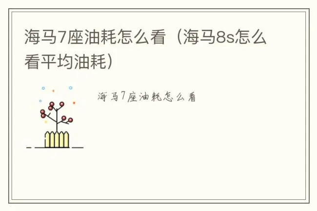 海马7座油耗怎么看（海马8s怎么看平均油耗）