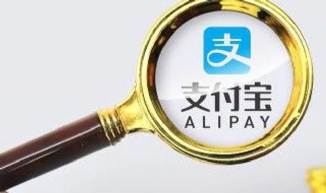 支付宝怎么查车辆违章（支付宝怎么查车辆违章照片）