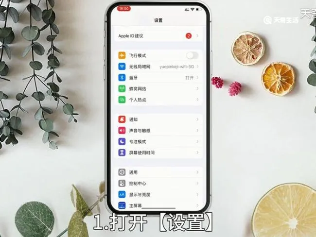 苹果的快捷键圆圈在哪里设置 苹果的快捷键圆圈怎么设置