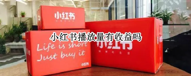 小红书播放量有收益吗（小红书靠播放量赚钱吗?）