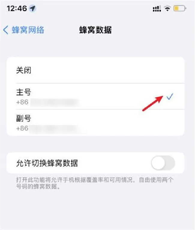 苹果双卡双待怎么设置