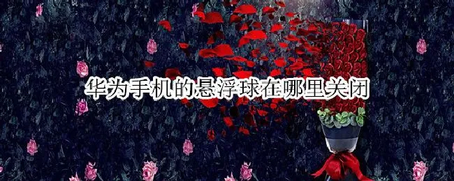 华为手机的悬浮球在哪里关闭（华为手机在哪儿关闭悬浮球）