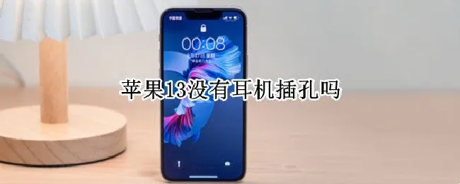 苹果13没有耳机插孔吗（苹果13pro没有耳机孔）