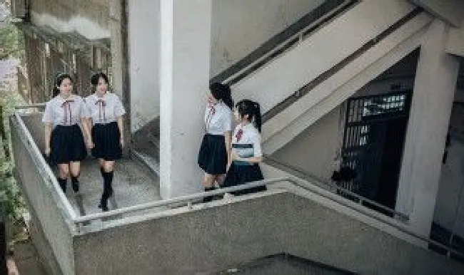 陌陌上cd是什么意思（陌陌聊天cd什么意思）