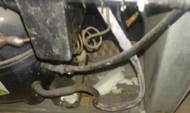 压缩机结冰是什么原因 压缩机结冰是什么原因引起的