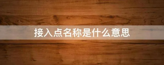 接入点名称是什么意思 接入点名称是什么意思电信