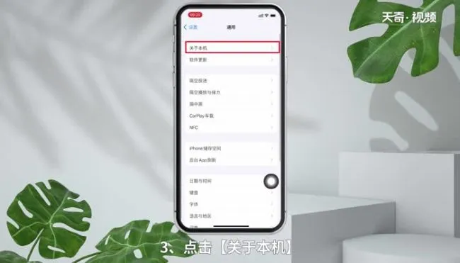 苹果序列号查询方法