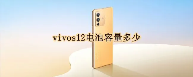 vivos12电池容量多少（vivos10的电池容量是多少）