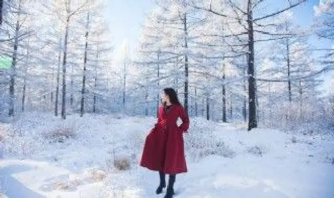 单反拍下雪技巧 单反相机雪景拍摄技巧