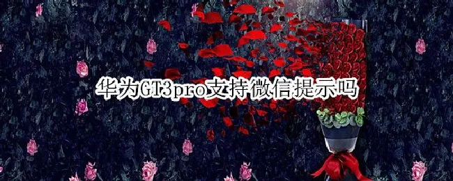 华为GT3pro支持微信提示吗 华为gt3pro支持微信聊天吗