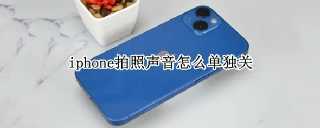 iphone拍照声音怎么单独关（苹果手机拍照声音怎么单独关）