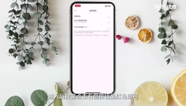 网易云边听边存在哪里设置 网易云边听边存怎么设置
