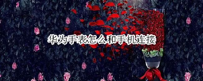 华为手表怎么和手机连接（华为手表怎么和手机连接app）