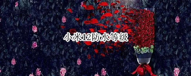 小米12防水等级 小米12pro防水等级