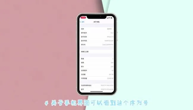 苹果11怎么查看生产日期 苹果11生产日期怎么查看